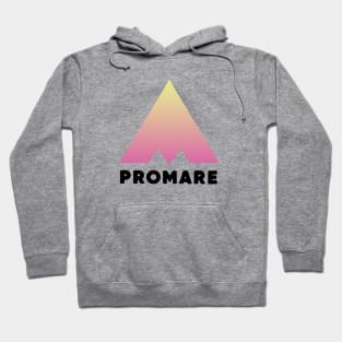 Promare logo (gradient pink ver.) Hoodie